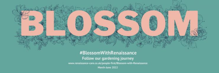 blossom with renaissance large text graphic