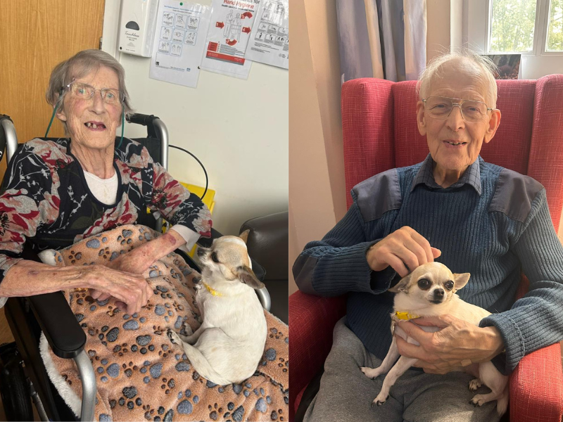 Split: On the left, resident Inez sits with therapet dog Pepper. On the right, Inez husband James sits with Pepper 2 years later. 