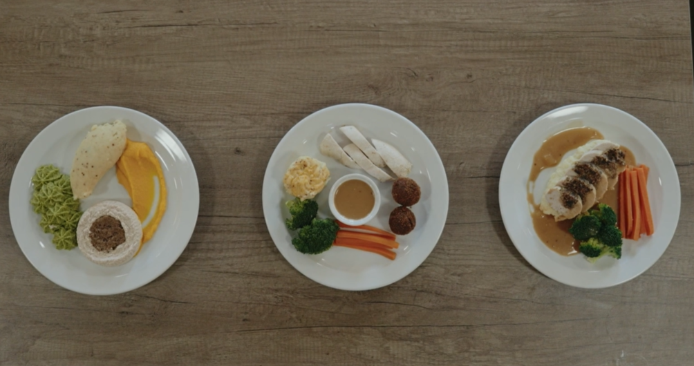 Three plates showing different textured meals, from pureed to soft and regular consistency, arranged side by side on a wooden table.