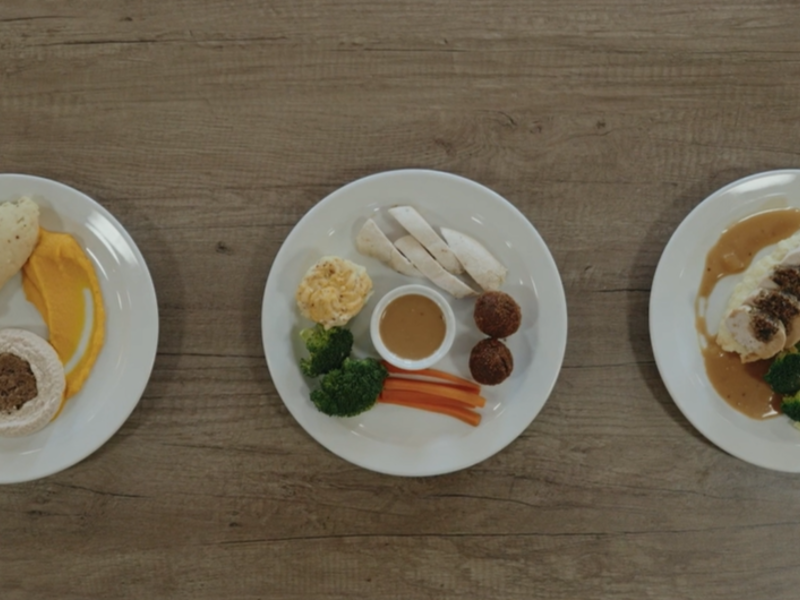 Three plates showing different textured meals, from pureed to soft and regular consistency, arranged side by side on a wooden table.