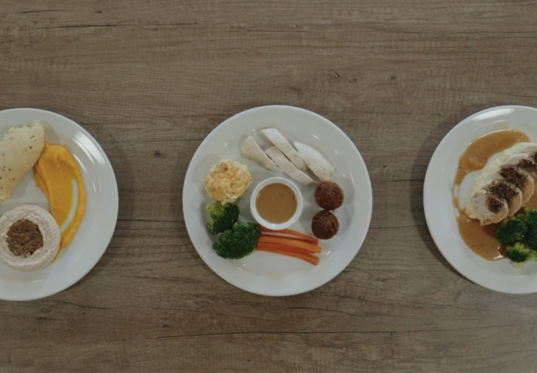 Three plates showing different textured meals, from pureed to soft and regular consistency, arranged side by side on a wooden table.